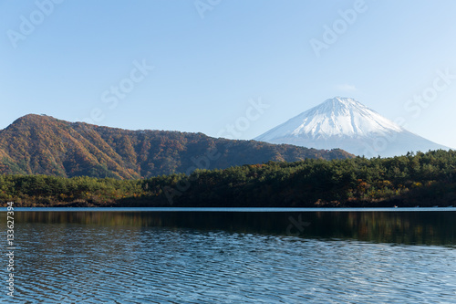 Mount Fuji and lake saiko © leungchopan