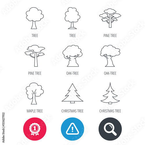 Achievement and search magnifier signs. Pine tree, maple and oak icons. Christmas trees linear signs. Forest trees flat line icons. Hazard attention icon. Vector