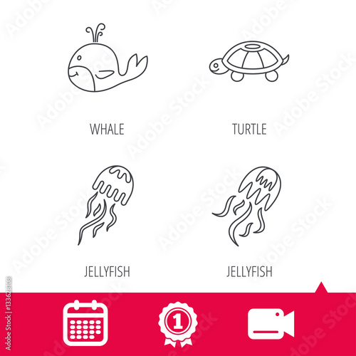 Achievement and video cam signs. Turtle and jellyfish  icons. Whale linear sign. Calendar icon. Vector