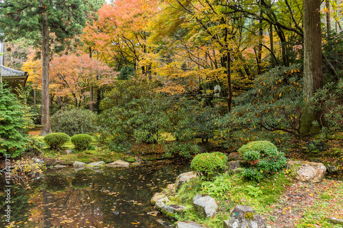 Fototapeta Naklejka Na Ścianę i Meble -  Japanese temple garden at autumn