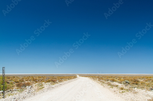 Deserted road  endless  Namibia  Africa