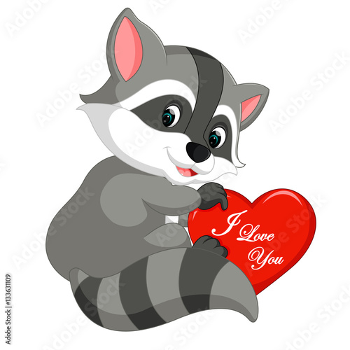raccoon cartoon