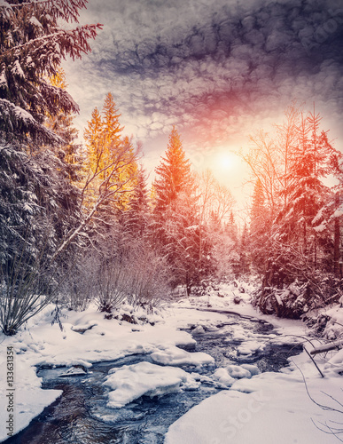 Wonderful winter landscape. snow covered pine tree over the mountain river under sunlight. wonderful, amazing view. picturesque amazing scene. instagram filter. creative image