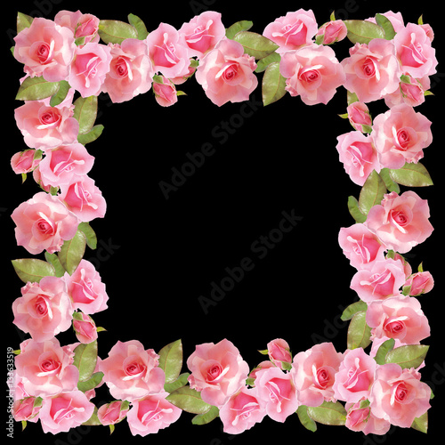 Beautiful floral background with pink roses. Isolated 