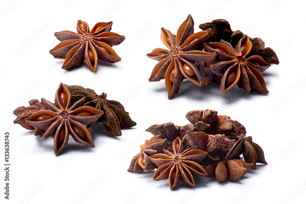 Set of Star anise (dried Ilicium fruits), paths Set of Star anise (dried Ilicium fruits), paths