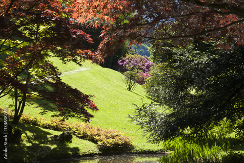 Giardino / Giardino fiorito in primavera.
Garden / garden with flowers, in spring