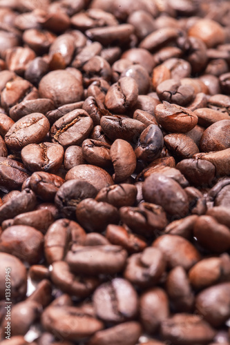 the coffee arabica grains.