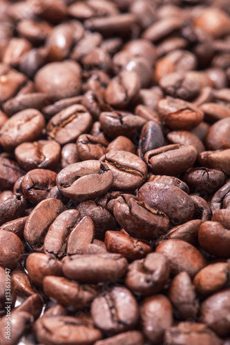 the coffee arabica grains.