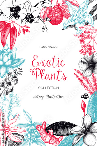 Exotic plants background. Vector tropical flowers design. Hand drawn exotic plants sketch. Vintage flowers and leafs frame. Natural template with tropical colorful plants isolated on white.