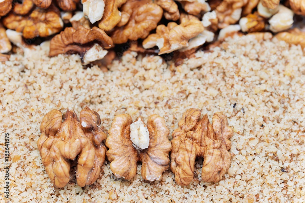 Obraz premium Walnuts are a tree nut belonging to the walnut family.These nuts are rich in omega-3 fats and contain higher amounts of antioxidants than most other foods. Eating walnuts may improve brain health.