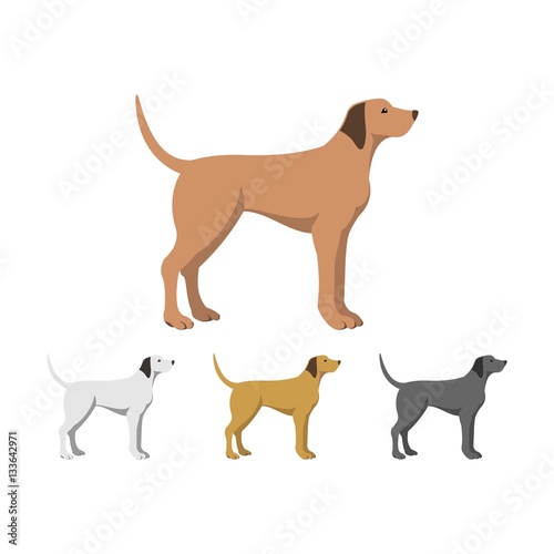 Vector Illustration of Dog Flat Design Set Color