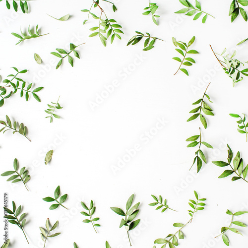 Frame of green branches and leaves on white background. Flat lay, top view