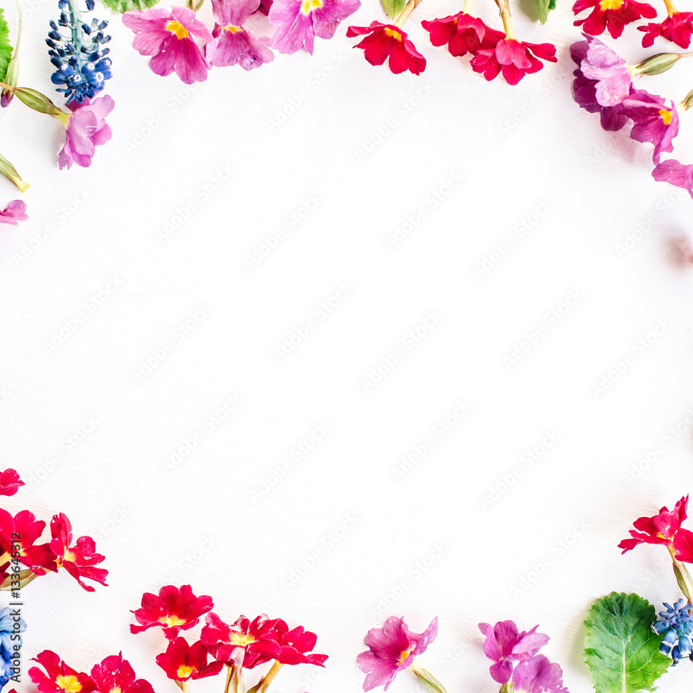 Frame of wildflowers on white background. Flat lay, top view