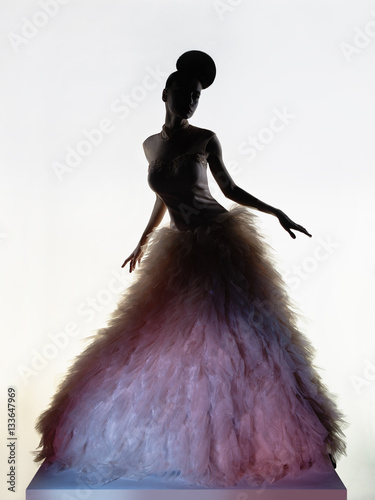 Beautiful elegant woman in luxury evening dress