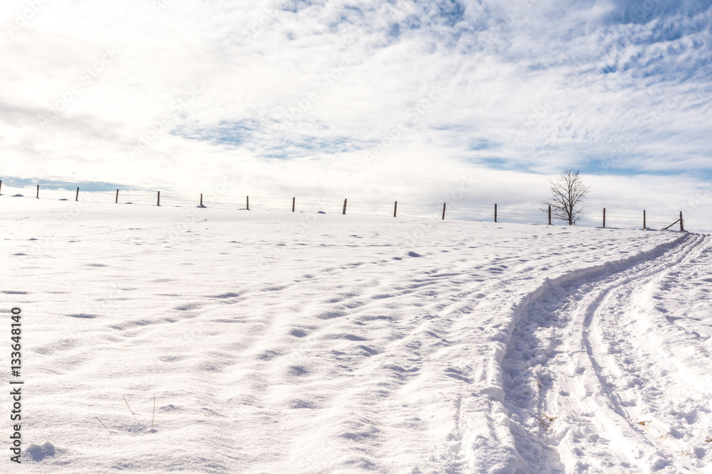 Langlaufloipe entlang der verschneiten Felder Langlaufloipe entlang der verschneiten Felder