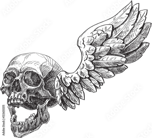 Engraving skull and wing