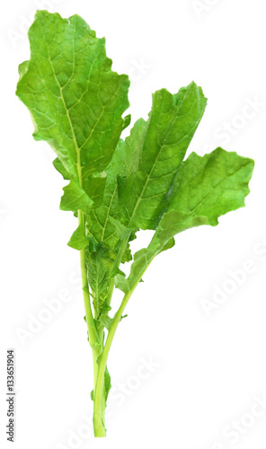 Edible mustard leaves as vegetable