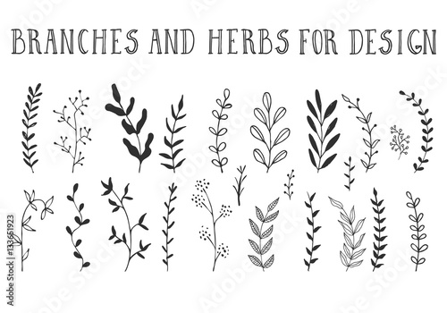 Branches and herbs with leaves