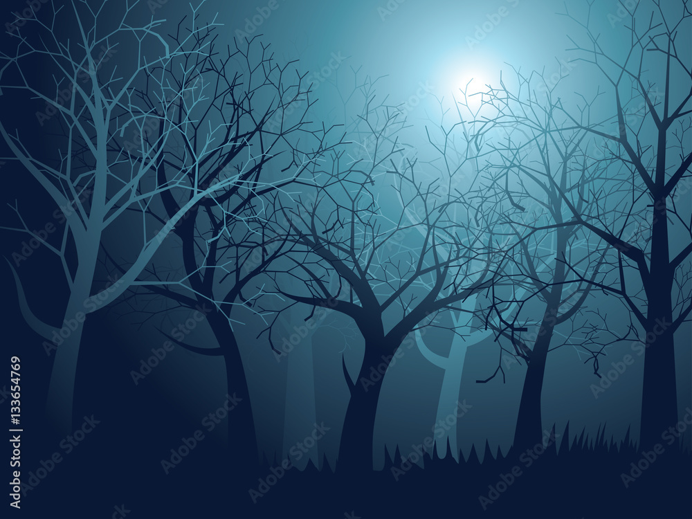 Obraz premium Abstract Forest Landscape