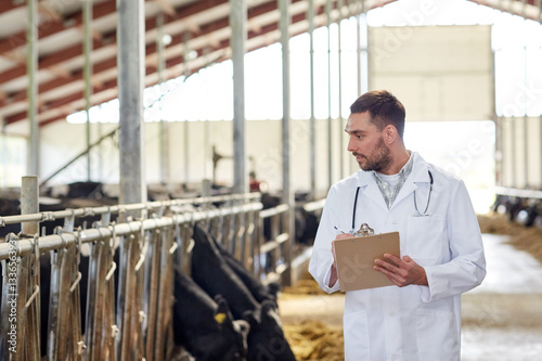 veterinarian with cows in cowshed on dairy farm