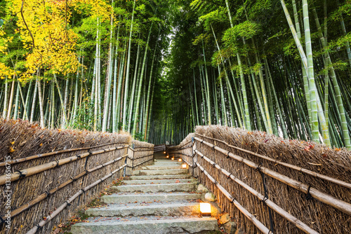 Fototapeta Naklejka Na Ścianę i Meble -  Arashiyama Bamboo Forest path, Kyoto