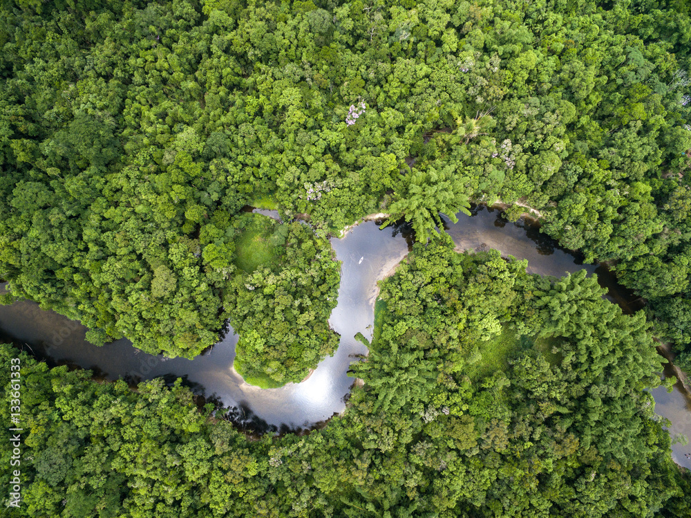 Top View of Amazon Rainforest, Brazil, obrazy, fototapety, plakaty -  BajeczneObrazy.pl