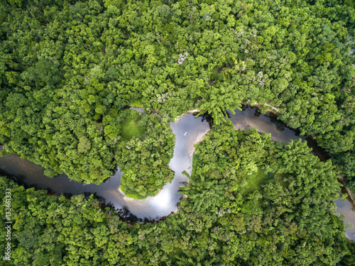 Top View of Amazon Rainforest, Brazil photo