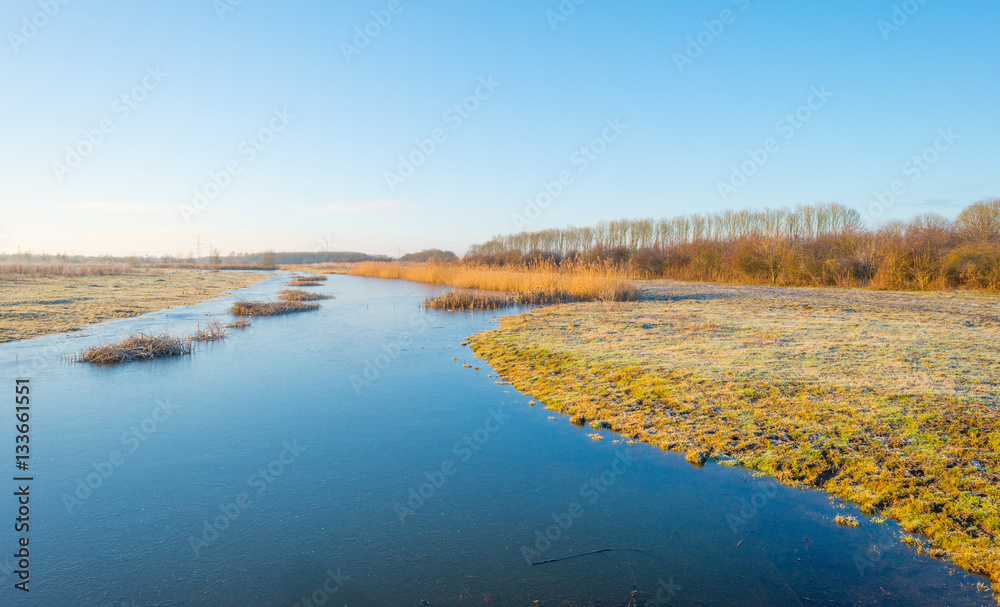 Shore of a frozen lake at sunrise in winter Shore of a frozen lake at sunrise in winter