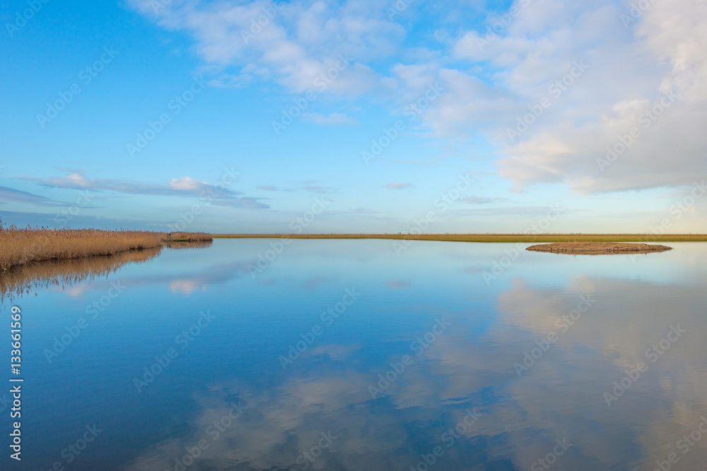 Shore of a lake in wetland in winter
