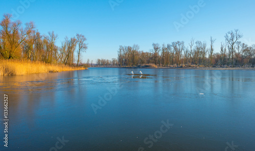Shore of a frozen lake at sunrise in winter
