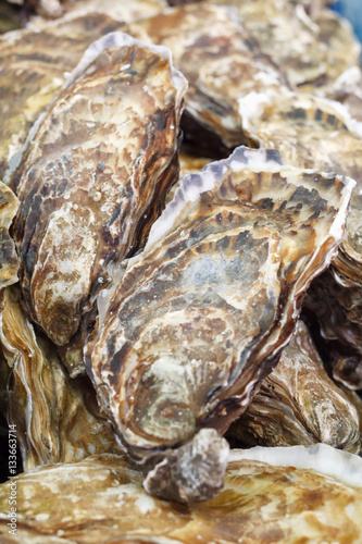 Oysters first size on the stone. fresh raw gourmet seafood.sea shell background