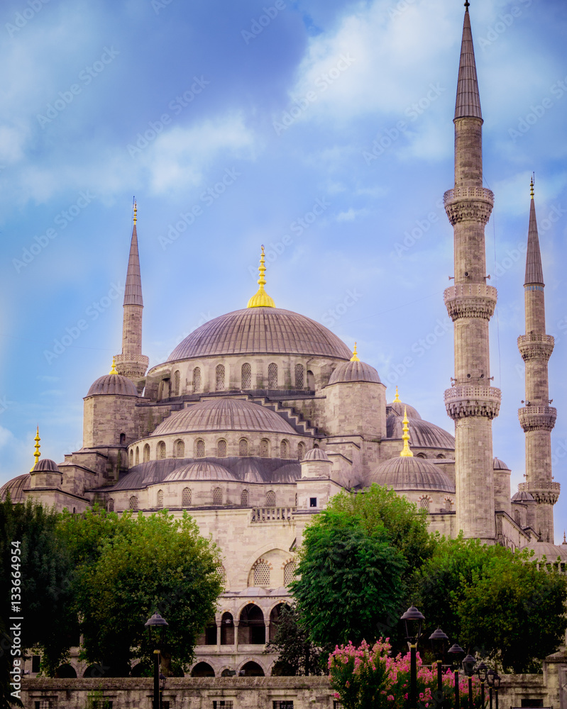 Naklejka premium Colored Mosque