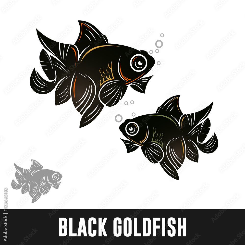 70 Setting Aquarium Koki HD Terbaru