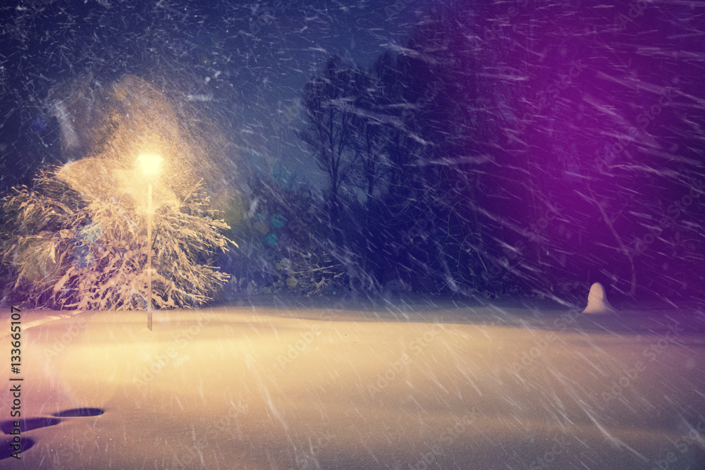 wonderful winter landscape. Winter scenery,snowstorm in a night city park. Picturesque and gorgeous wintry scene. inctagram toning. retro style.