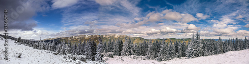 wonderful winter landscape. panorama - snow covered alp pine and blue perfect sky, with clouds in the mountain. Picturesque and gorgeous wintry scene