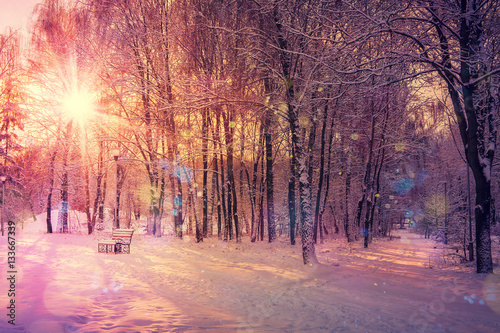 beautiful winter landscape sunset in winter. color in nature. winter scene. instagram toning effect. retro style. soft light effect © jenyateua