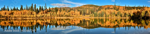 Panorama Autumn impression, Chena River State Park, Alaska