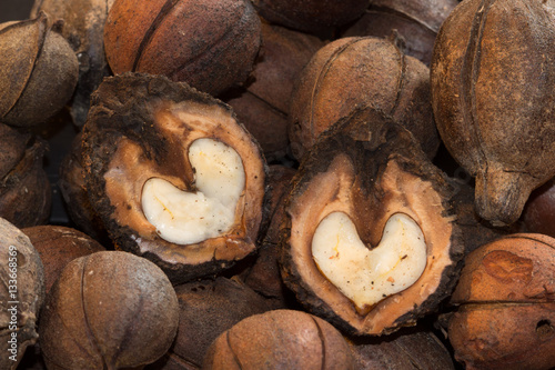 Two Walnut Hearts