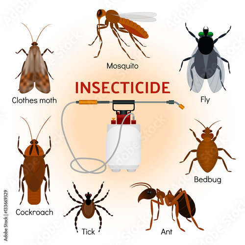 Insecticides set in flat style