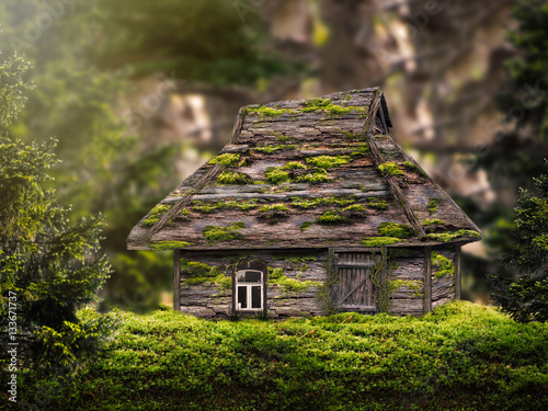 Fabulous house in the woods. A lot of moss on the house