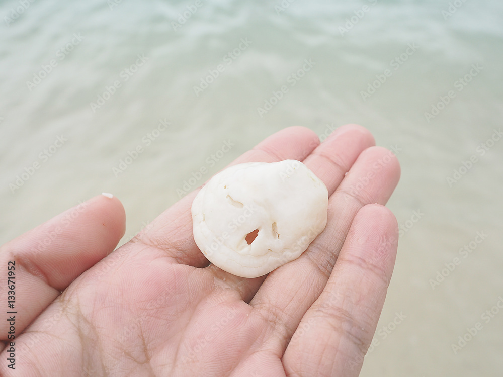 shell on hand against the sea background.