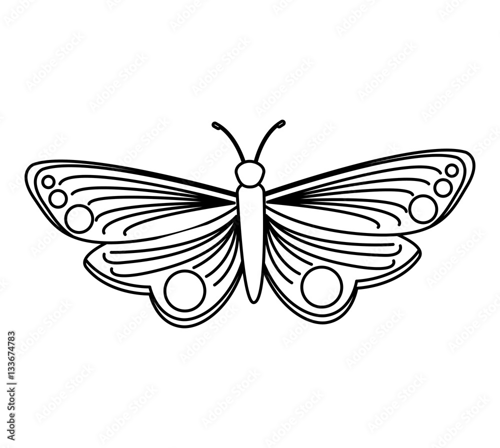 Fototapeta premium cute butterfly isolated icon vector illustration design