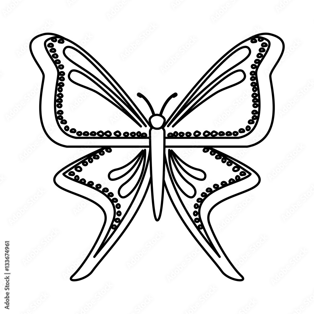 cute butterfly isolated icon vector illustration design cute butterfly isolated icon vector illustration design