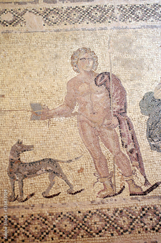 Europa,Cipro,Pafos.Mosaici della casa di Dionisio.
