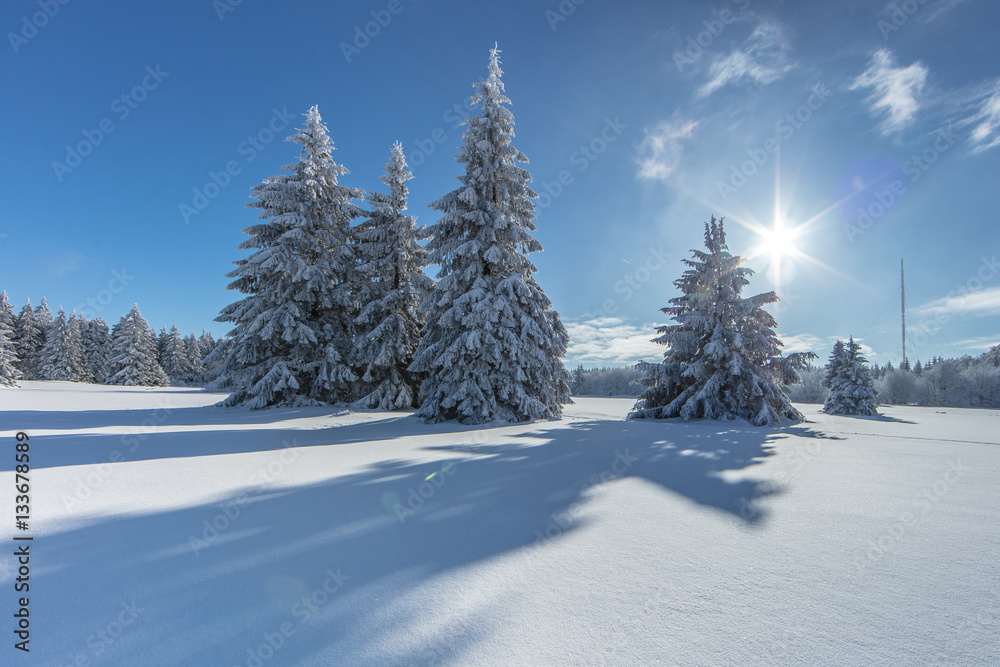 Obraz premium schneelandschaft