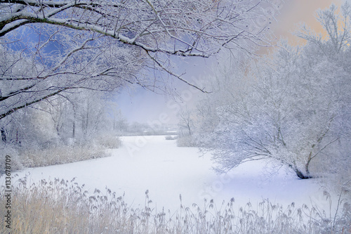 Winter © FotoBrest