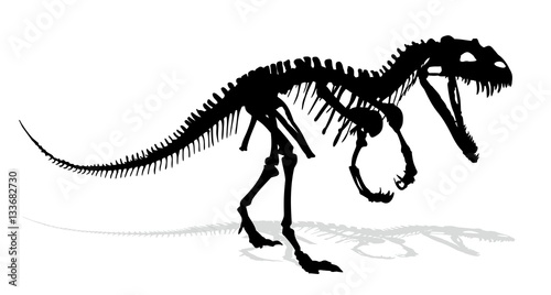 Dinosaur skeleton.  © designer_an