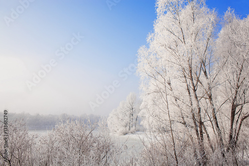 winter landscape with trees covered with hoarfrost