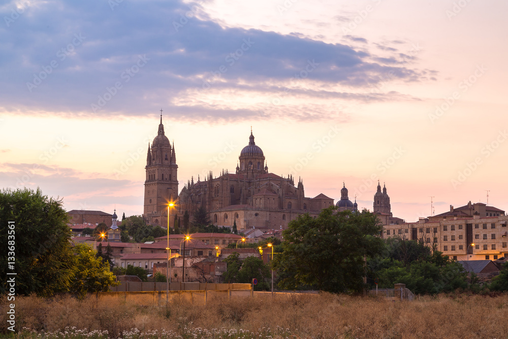 Cathedral in Salamanca