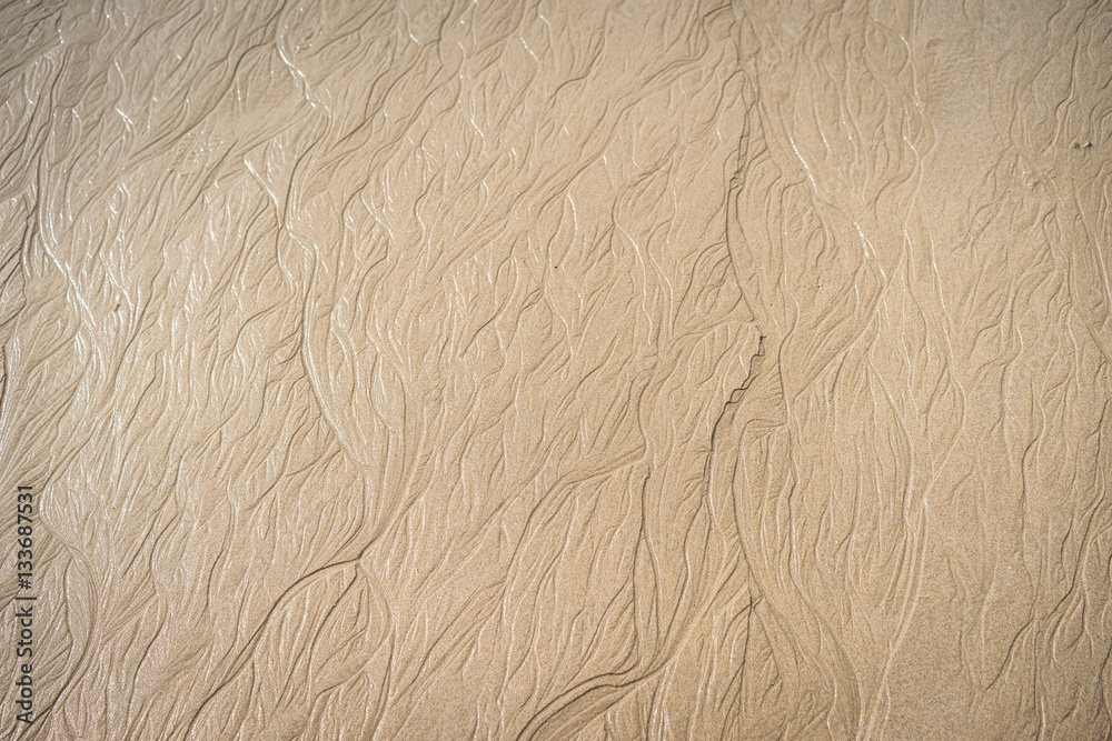 A whole page of ripples in wet sand background texture after tide. A whole page of ripples in wet sand background texture after tide.